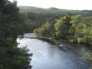 River Spey vor Aberlour